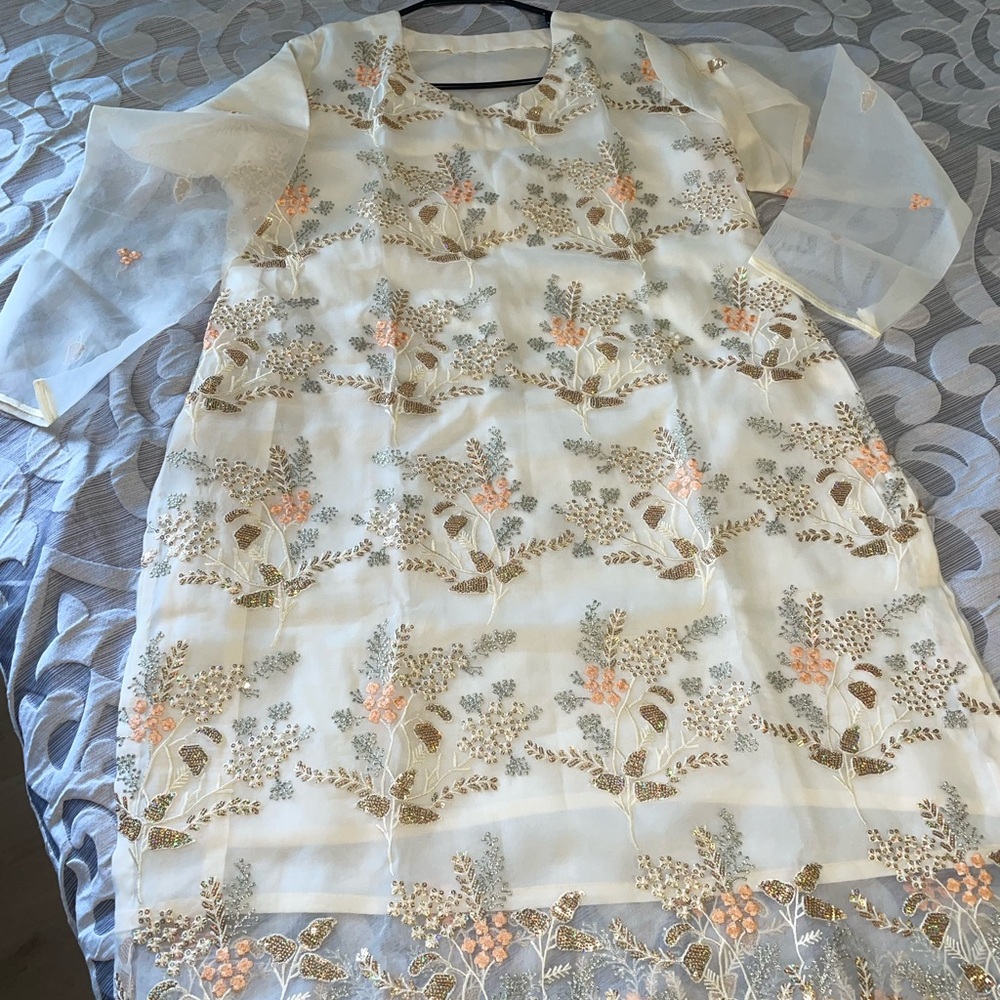 Indian Pakistani dress